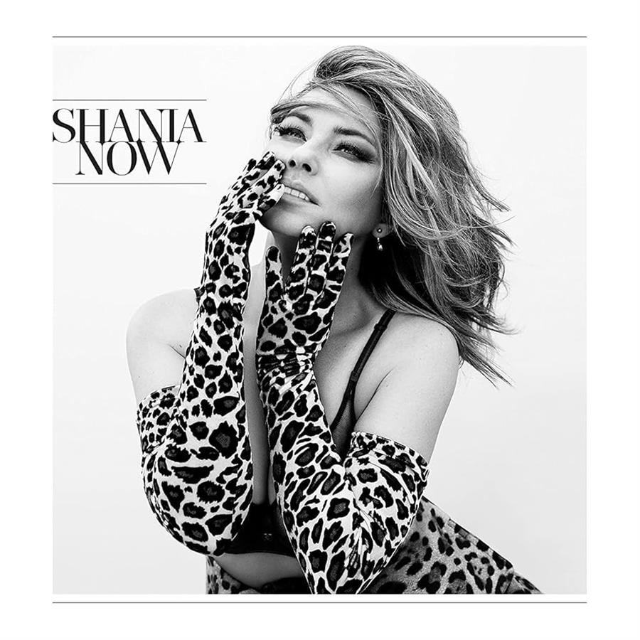 Cd - Shania Twain - Now