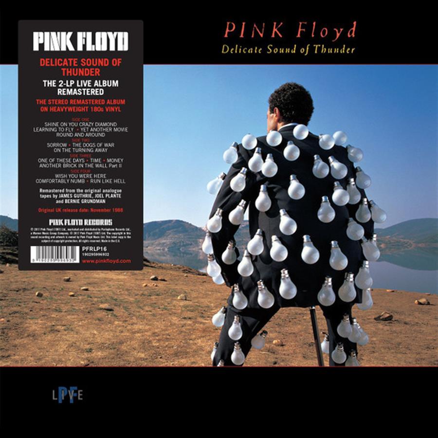 LP - Pink Floyd - Delicate